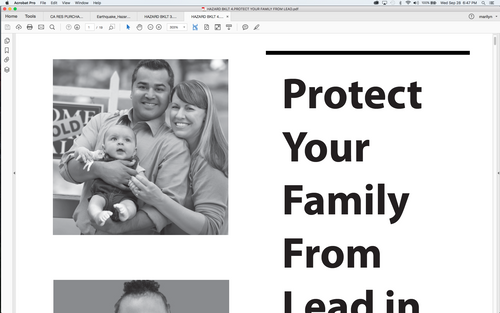 Hazards Booklet 4:  Protect your Family From Lead in your Home